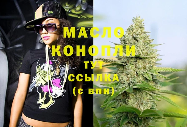 индика Майский
